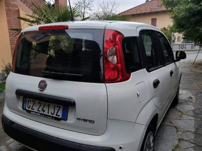 Fiat Panda Hybrid  Bianco usata Coazze