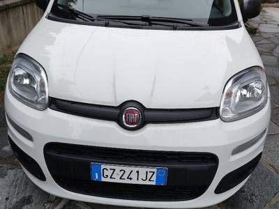 Fiat Panda Hybrid  Bianco usata Coazze