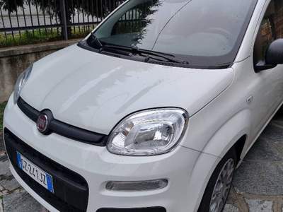 Fiat Panda Hybrid  Bianco usata Coazze