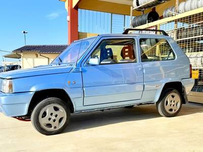 Fiat Panda Panda 4x4 Moretti Blu/Azzurro usata Rivoli