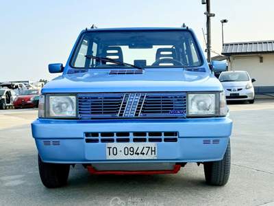Fiat Panda Panda 4x4 Moretti Blu/Azzurro usata Rivoli