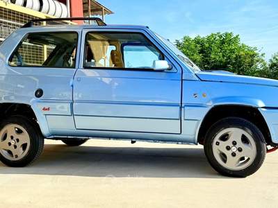 Fiat Panda Panda 4x4 Moretti Blu/Azzurro usata Rivoli