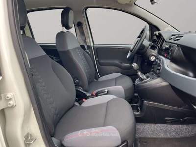 Fiat Panda 1.3Mjt Autocarro N1 Bianco usata San Miniato