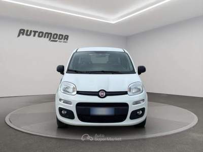 Fiat Panda 1.3Mjt Autocarro N1 Bianco usata San Miniato
