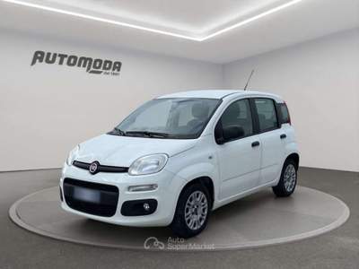 Fiat Panda 1.3Mjt Autocarro N1 Bianco usata San Miniato