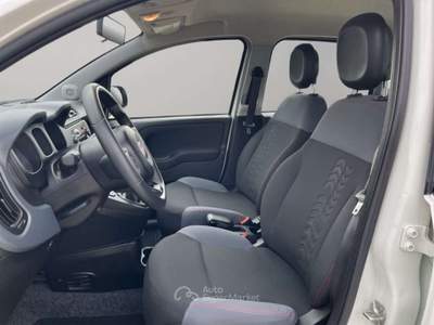 Fiat Panda 1.3Mjt Autocarro N1 Bianco usata San Miniato