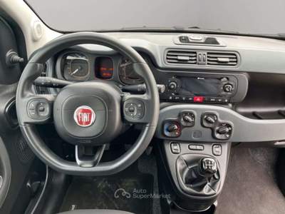 Fiat Panda 1.3Mjt Autocarro N1 Bianco usata San Miniato