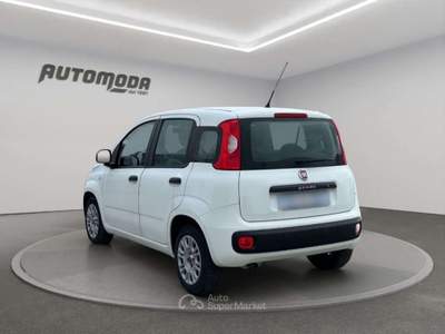 Fiat Panda 1.3Mjt Autocarro N1 Bianco usata San Miniato