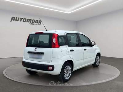 Fiat Panda 1.3Mjt Autocarro N1 Bianco usata San Miniato
