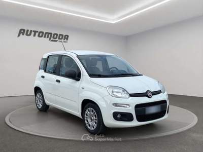 Fiat Panda 1.3Mjt Autocarro N1 Bianco usata San Miniato