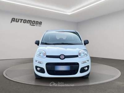 Fiat Panda 1.2 Easy 69CV Bianco usata San Miniato