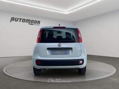 Fiat Panda 1.2 Easy 69CV Bianco usata San Miniato