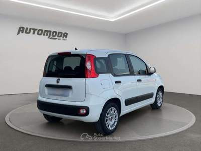 Fiat Panda 1.2 Easy 69CV Bianco usata San Miniato