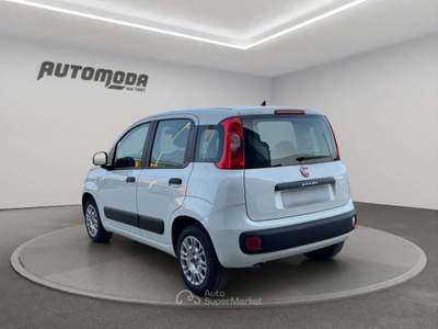 Fiat Panda 1.2 Easy 69CV Bianco usata San Miniato