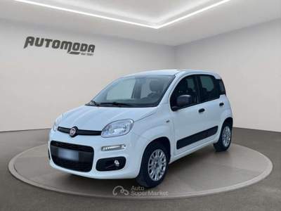 Fiat Panda 1.2 Easy 69CV Bianco usata San Miniato