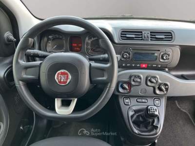Fiat Panda 1.2 Easy 69CV Bianco usata San Miniato