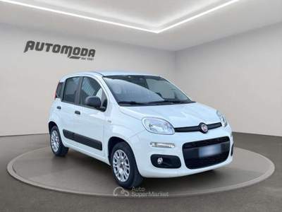 Fiat Panda 1.2 Easy 69CV Bianco usata San Miniato