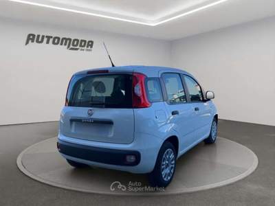 Fiat Panda 1.2 Easy 69CV Bianco usata San Miniato