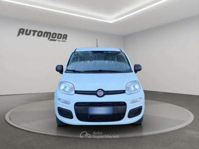 Fiat Panda 1.2 Easy 69CV Bianco usata San Miniato