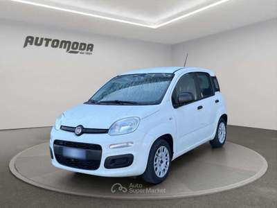 Fiat Panda 1.2 Easy 69CV Bianco usata San Miniato