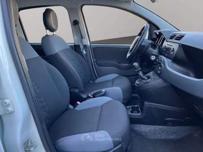 Fiat Panda 1.2 Easy 69CV Bianco usata San Miniato