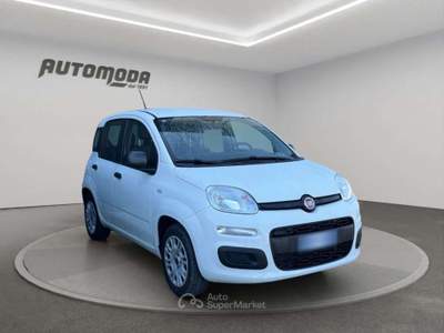Fiat Panda 1.2 Easy 69CV Bianco usata San Miniato