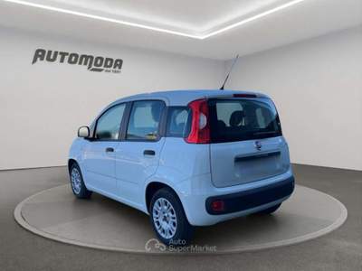 Fiat Panda 1.2 Easy 69CV Bianco usata San Miniato