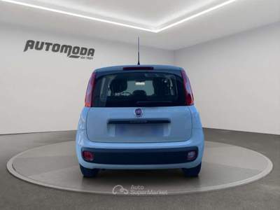 Fiat Panda 1.2 Easy 69CV Bianco usata San Miniato