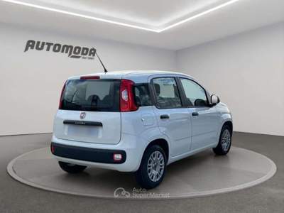 Fiat Panda 1.2 Easy 69CV Bianco usata San Miniato