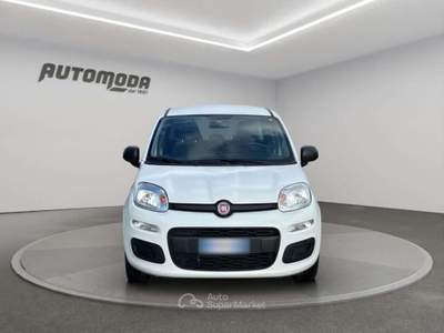 Fiat Panda 1.2 Easy 69CV Bianco usata San Miniato