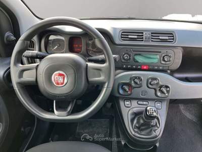 Fiat Panda 1.2 Easy 69CV Bianco usata San Miniato