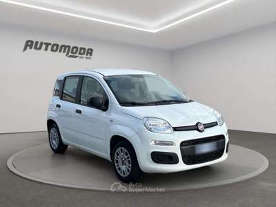 Fiat Panda 1.2 Easy 69CV Bianco usata San Miniato