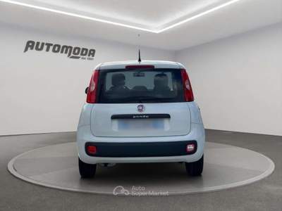 Fiat Panda 1.2 Easy 69CV Bianco usata San Miniato