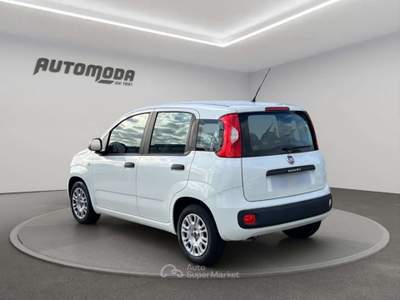 Fiat Panda 1.2 Easy 69CV Bianco usata San Miniato