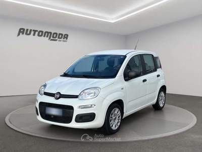 Fiat Panda 1.2 Easy 69CV Bianco usata San Miniato
