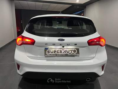 Ford Focus 1.5 EcoBlue 120 CV 5p. Business Bianco usata Atena lucana