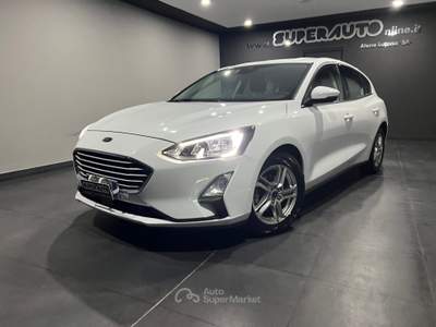 Ford Focus 1.5 EcoBlue 120 CV 5p. Business Bianco usata Atena lucana
