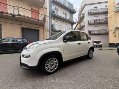 Fiat Panda UNICO PROPIETARIO Bianco usata Alcamo