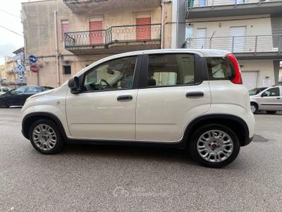 Fiat Panda UNICO PROPIETARIO Bianco usata Alcamo