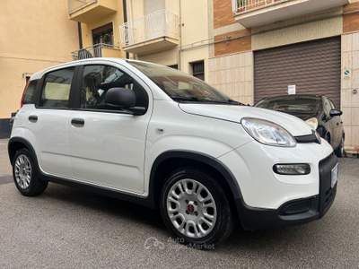 Fiat Panda UNICO PROPIETARIO Bianco usata Alcamo