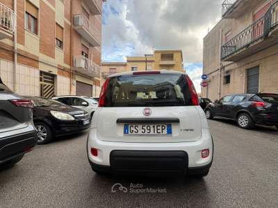 Fiat Panda UNICO PROPIETARIO Bianco usata Alcamo