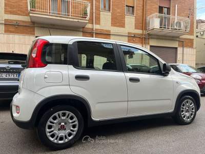 Fiat Panda UNICO PROPIETARIO Bianco usata Alcamo