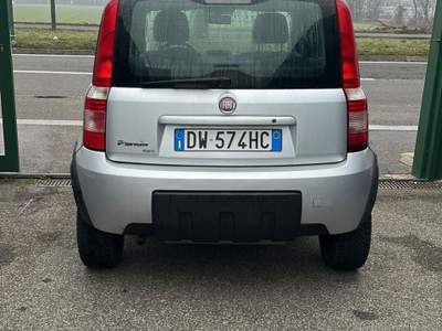 Fiat Panda 1.2 4x4 Grigio usata Torino