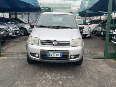 Fiat Panda 1.2 4x4 Grigio usata Torino