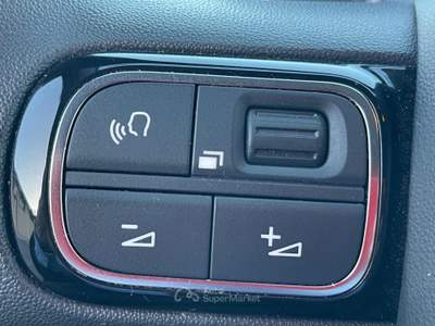 Citroen C3 BlueHDi 100 S&S You Grigio usata Fiumicino