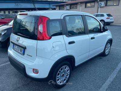 Fiat Panda 1.0 FireFly S&S Hybrid Bianco usata Fiumicino