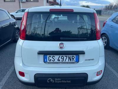Fiat Panda 1.0 FireFly S&S Hybrid Bianco usata Fiumicino