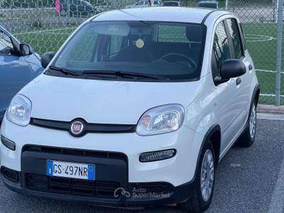 Fiat Panda 1.0 FireFly S&S Hybrid Bianco usata Fiumicino