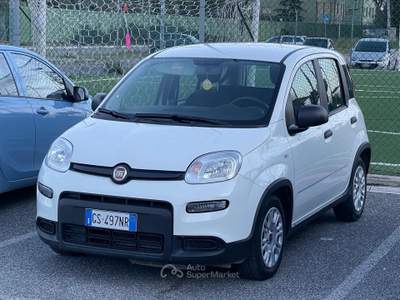 Fiat Panda 1.0 FireFly S&S Hybrid Bianco usata Fiumicino