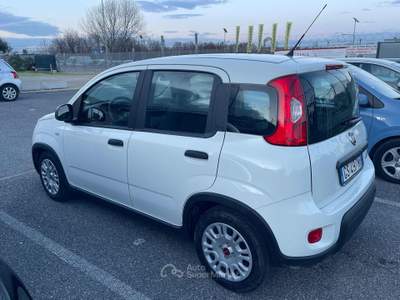 Fiat Panda 1.0 FireFly S&S Hybrid Bianco usata Fiumicino